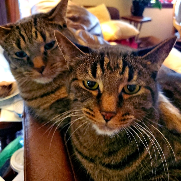 Meet your Posher, Mark - Picture 5 of 8